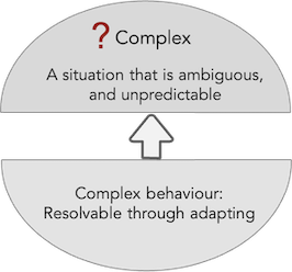 complex cynefin