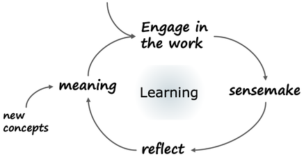 horizontal learning cycle